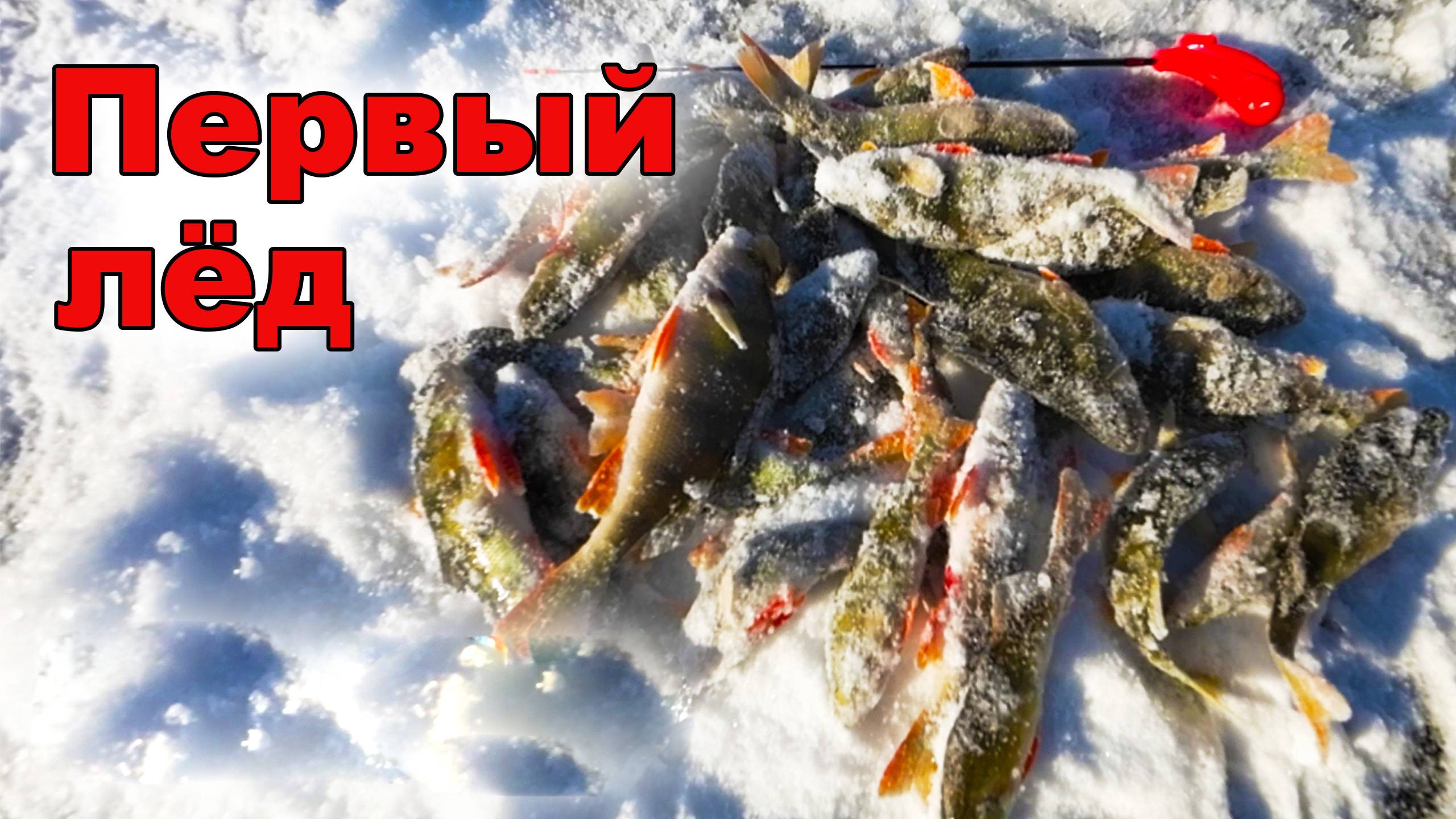 Первый лёд. Ловим за хвост. смотреть онлайн