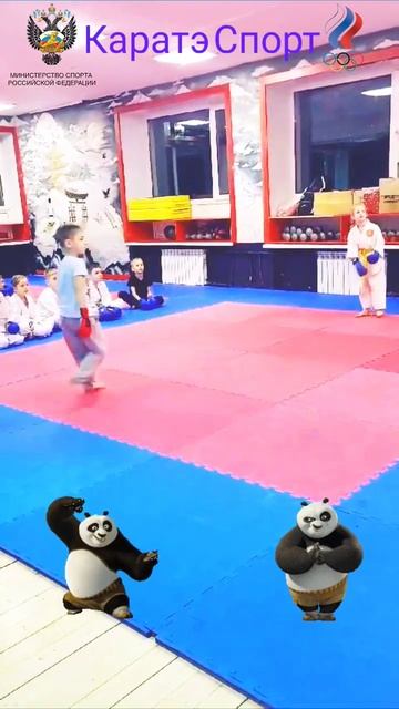 Каратэ Спорт MidoriKan