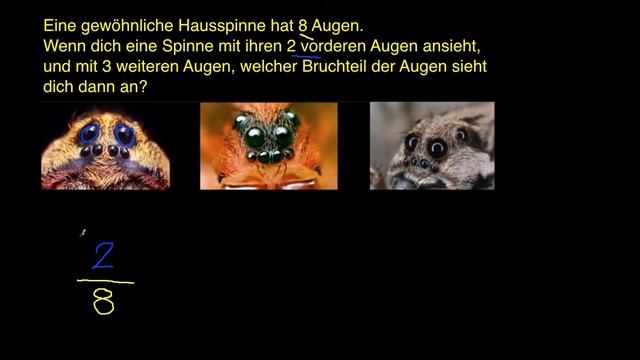 Welcher Bruchteil von Spinnenaugen sieht dich an? смотреть онлайн