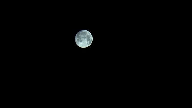 Полнолуние / The Fullmoon Float смотреть онлайн