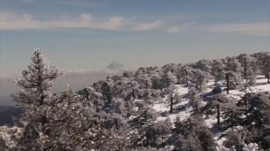 Твои скорби выдумал ты сам... (размышляем над новой книгой старца "Исихия")