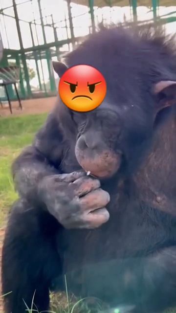 Я ХАТЕЛ СМЫЧЧКААА смотреть онлайн