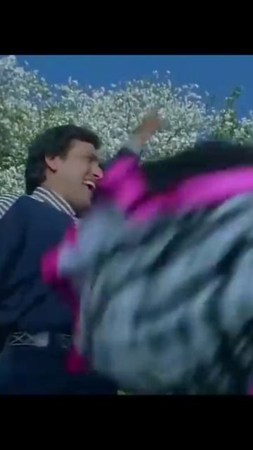 Tere Pyaar me dil diwana| Colie No.1| Govinda & karisma|#shorts смотреть онлайн