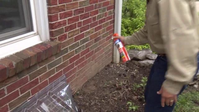 TERRO Outdoor Ant Killer Spray смотреть онлайн