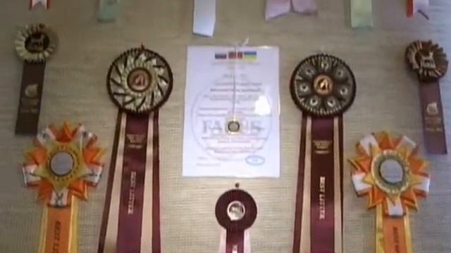Бурманский вирус.wmv смотреть онлайн