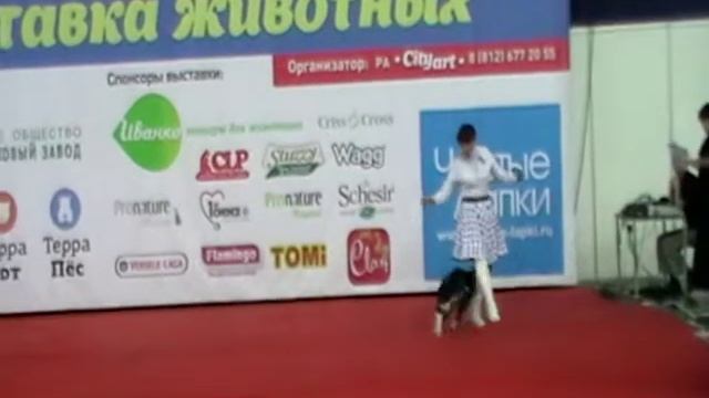 Людмила и Ника смотреть онлайн