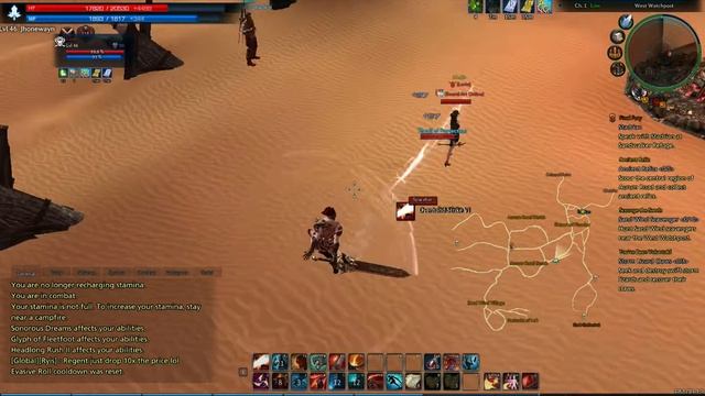 TERA PVP. Slayer Vs Mystic.