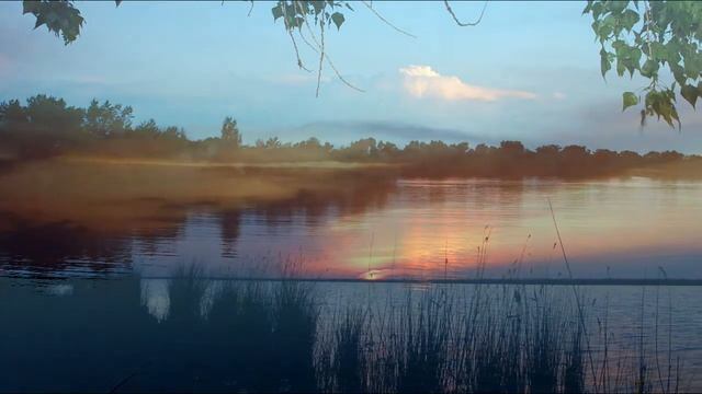 Ночная охота