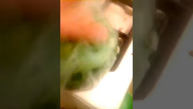 Как приготовить самые вкусные огурчики