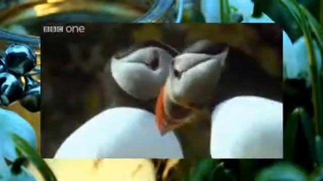 говорящие животные 12 смотреть онлайн