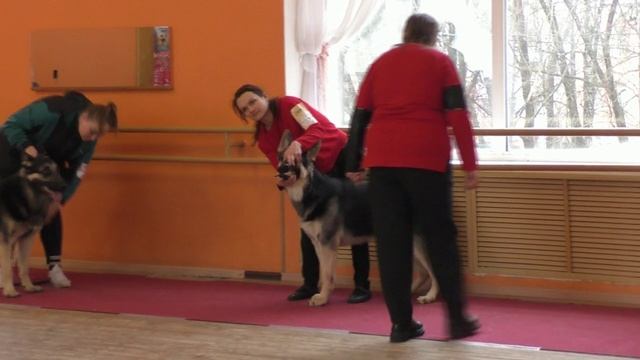 Класс юниоров