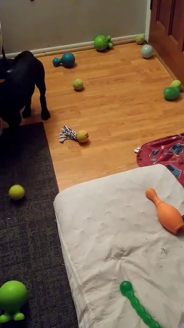 Playtime (1/24/19) смотреть онлайн