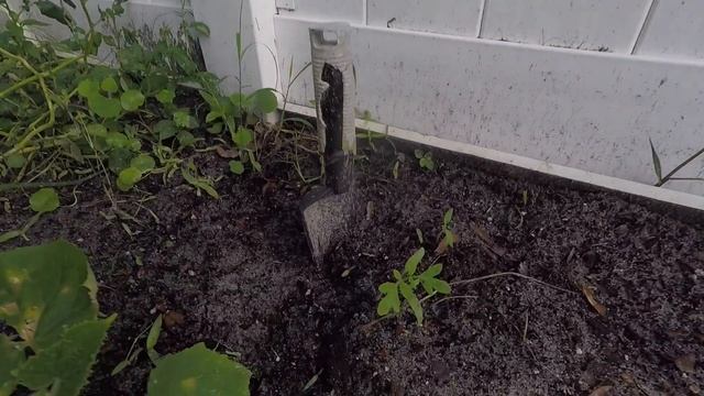 Какую воду мы пьём во Флориде! What kind of water do we drink in Florida! смотреть онлайн