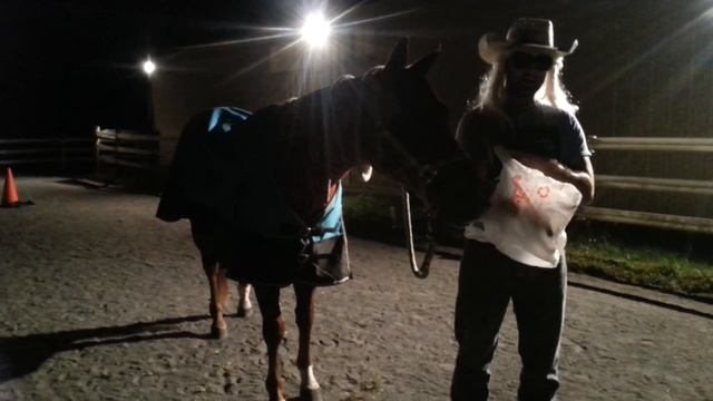 How to sell a horse like a crazy horse person смотреть онлайн