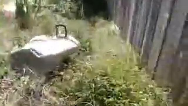 Deaf Donkey Presents - Fuck The Pain Away смотреть онлайн