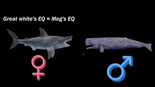 COMMON MISCONCEPTIONS about "Megalodon vs Lyviathan" смотреть онлайн