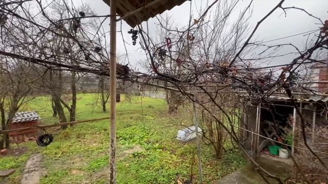 ГЛАВНОЕ в доме на Юге успел сделать : МОЖНО и канавки в ДОЖДЬ почистить смотреть онлайн