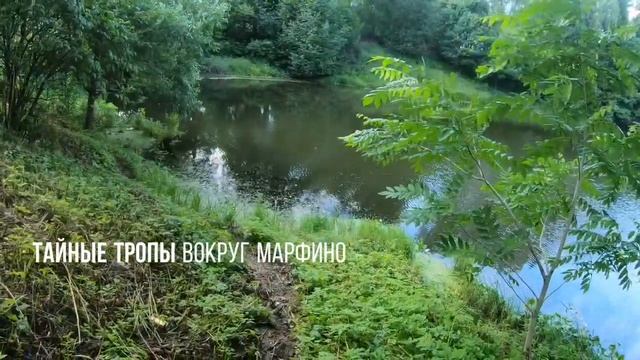 Марфино кольцо смотреть онлайн