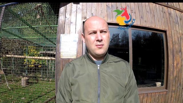 Príchod gibonov смотреть онлайн