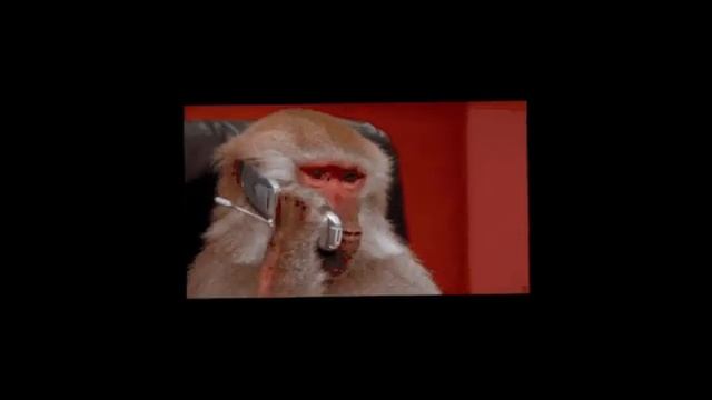 ХОТЕЛ ЗАКАЗАТЬ ДЕВОЧКУ. А ПОПАЛ НА МОШЕННИКА. ( - 2КАРТЫ СБЕР) ОЛЯ 23 ГОДА,. ФОТО МОИ 100% смотреть онлайн