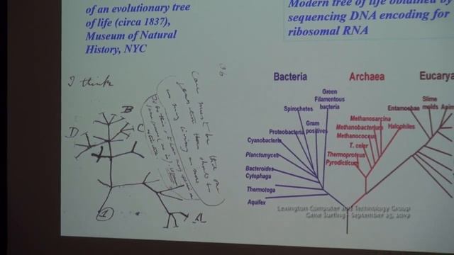 The Application of Physics Techniques to Biology -- Gene Surfing and Survival of the Luckiest смотреть онлайн