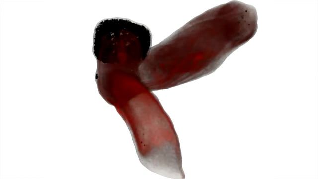 MOOC on Simulation and modeling of natural processes смотреть онлайн