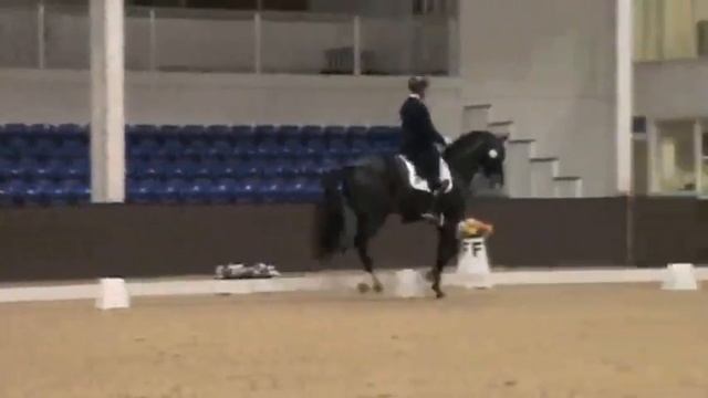 Samba Hit III - Gareth Hughes - Bury Farm High Profile Show 2013 смотреть онлайн