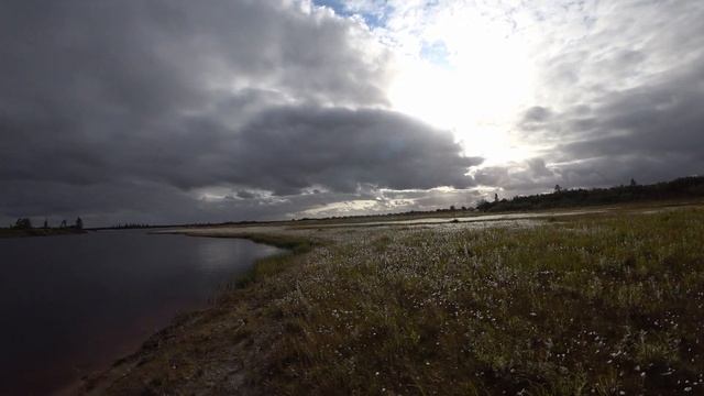 Yamal. Siberia. Summer 2018. смотреть онлайн