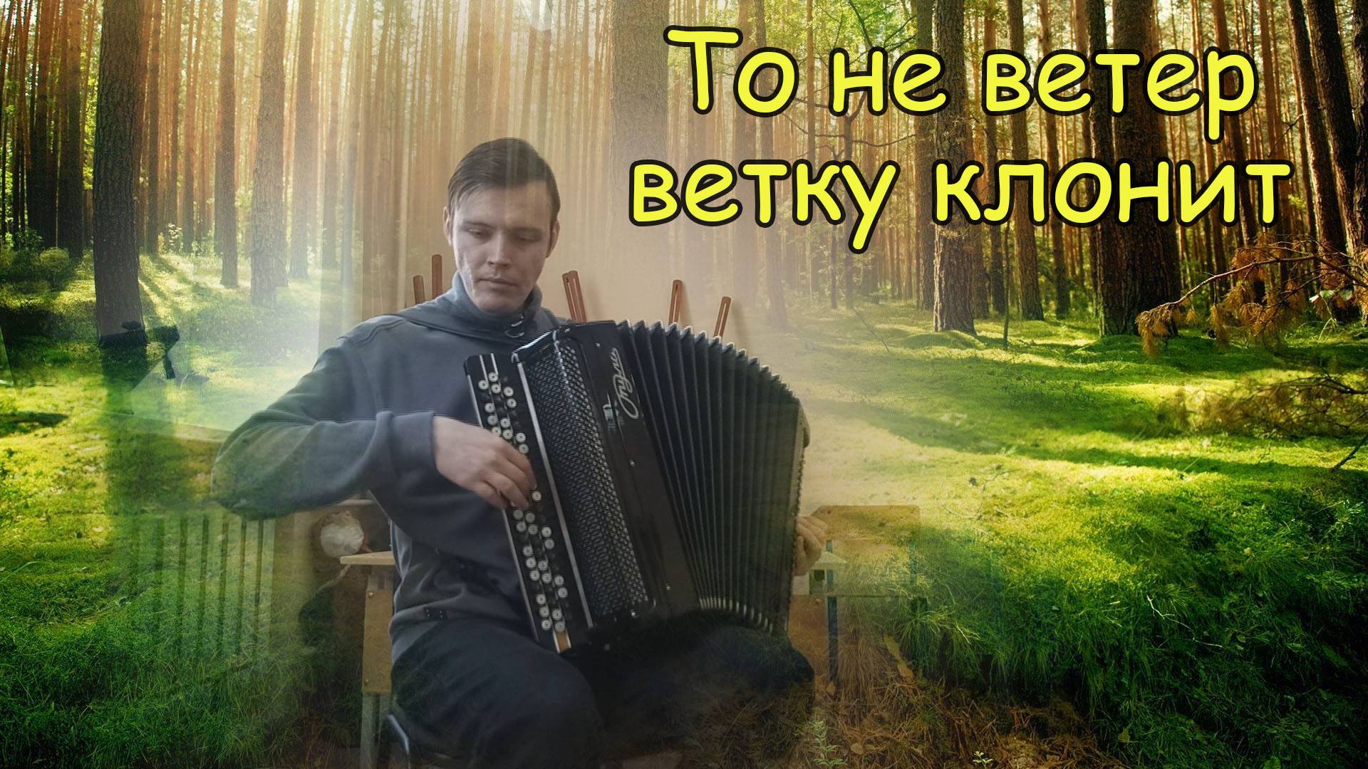 То не ветер ветку клонит ♫ Импровизация на баяне от Александра смотреть онлайн