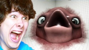 WINDY31 || ПОКОРМИ ЕГО а ИНАЧЕ