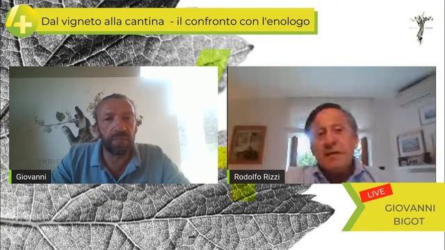 Dal vigneto alla cantina - il confronto con l'enologo, ospite Rodolfo Rizzi смотреть онлайн