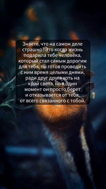 Цитаты со смыслом #цитаты #любовь #разлука смотреть онлайн