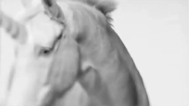 Борис Апрель Мне так нужна твоя любовь