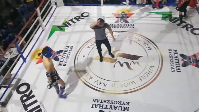 Темиров Байэль, отборочный круг 60кг 18+ смотреть онлайн
