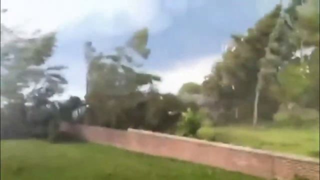Ветерок колышет деревья смотреть онлайн