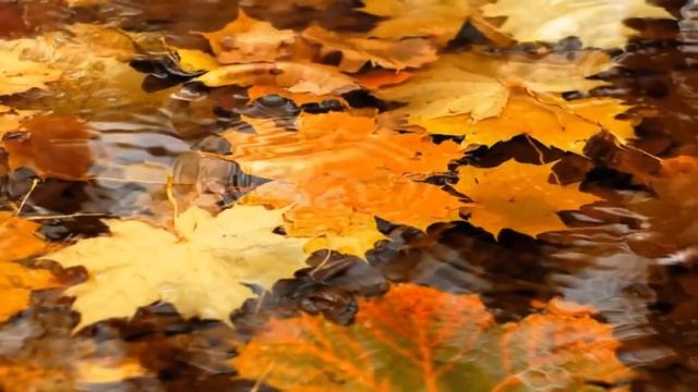 С чего начинается снейджер