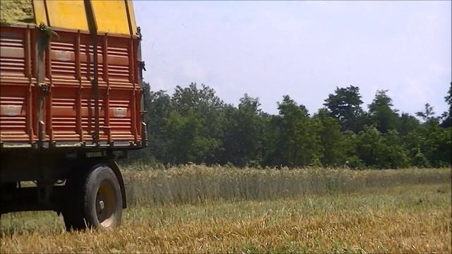 NEW Claas Jaguar 870 (model year 2014) + Kemper 445 TRITICALE 2014 смотреть онлайн