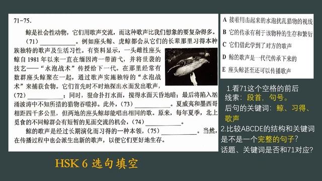 #HSK6 #选句填空 03鲸鱼 NJU 汉语水平考试讲座 #Mandarin #汉语 #中文 #중국어 #中國語 #汉语水平考试 #阅读理解 #高级汉语 #徐昌火 #LearnChinese