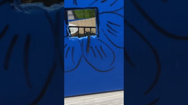 Наши морские свинки Поча и Мотя смотреть онлайн