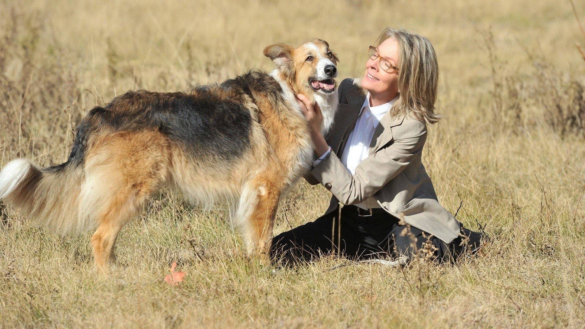 Самый близкий друг (2012) — Русский трейлер смотреть онлайн