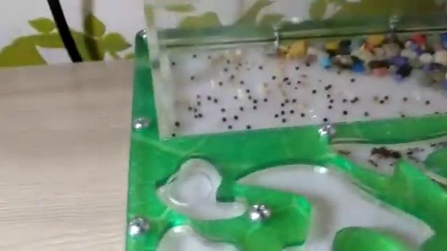 Жизнь муравьев на ферме. продолжение! смотреть онлайн