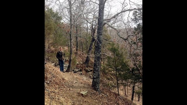 Pre-ballooning in trapdoor spiderlings (Ctenizidae: Ummidia) смотреть онлайн