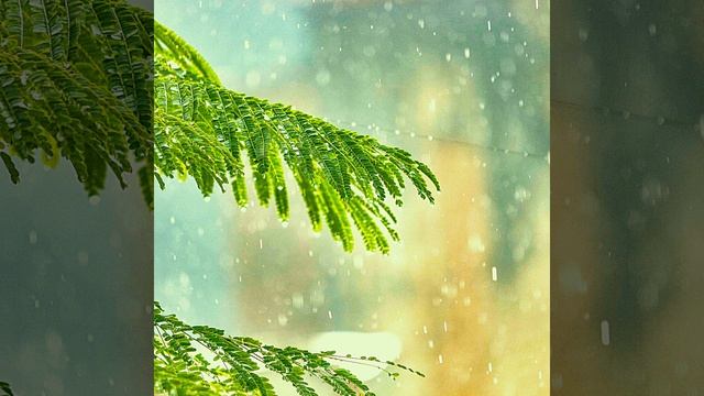 Pulsating Backdrops for Strong Coffee