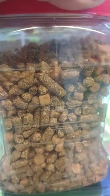RedKite Pellets para roedores смотреть онлайн