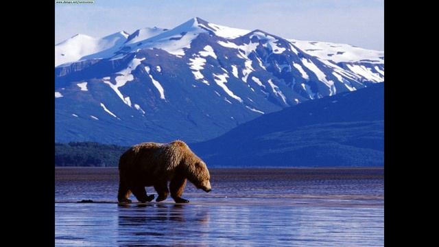 CUANDO RUSIA VENDIÓ ALASKA A ESTADOS UNIDOS