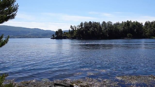 German U- boats were here and they had a secret defense.. смотреть онлайн