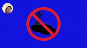 сущности Омарской области