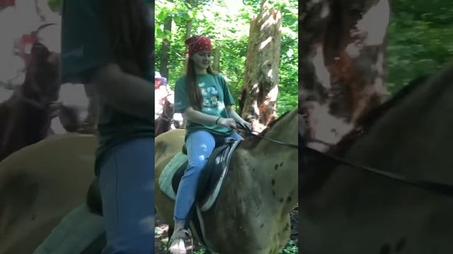 Катание на лошадях смотреть онлайн
