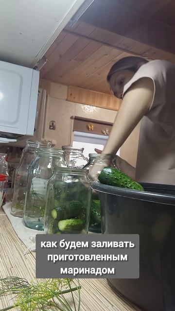 #огурчики #заготовкиназиму #рецепт смотреть онлайн