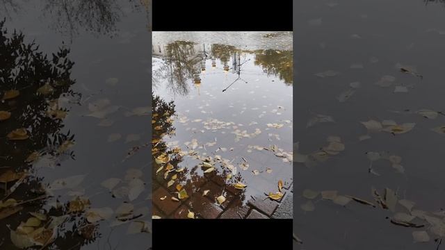 Томск пл. Новособорная #томск #томскаяобласть #временагода смотреть онлайн